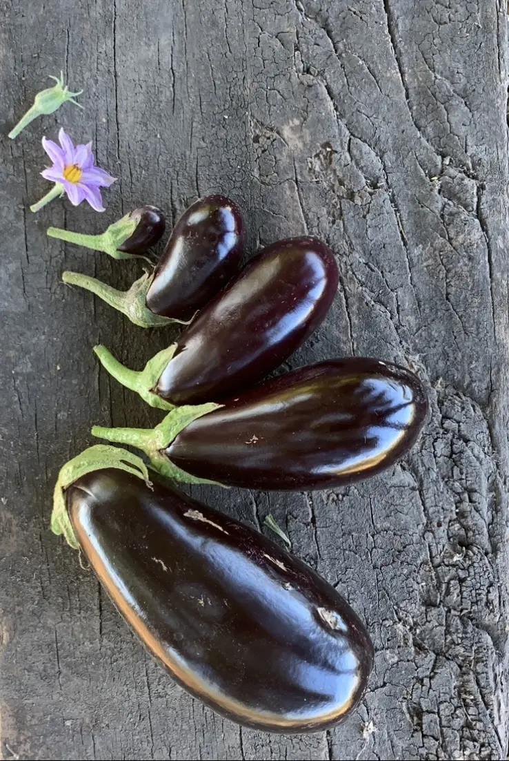 Verduras frescas de CanastaViva