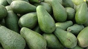 Palta fuerte (kilo)