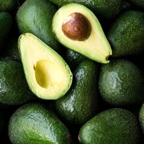 Palta Edranol 1kg Rico en vitamina E