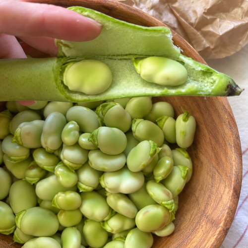 Habas tiernas (kilo)