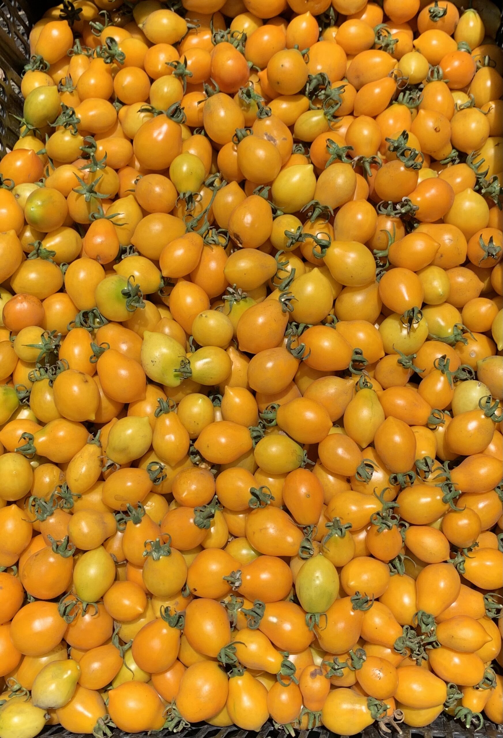 Tomate Cherry Amarillo  500 gr