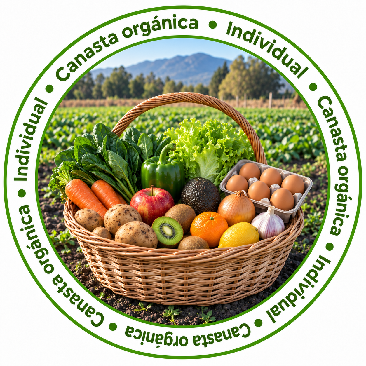 Canasta Individual